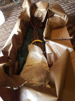 Verpackte Ware