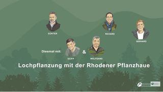 Lochpflanzung mit der Rhodener Pflanzhaue