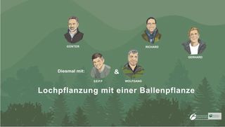 Lochpflanzung mit Ballenpflanze