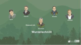 Wurzelschnitt