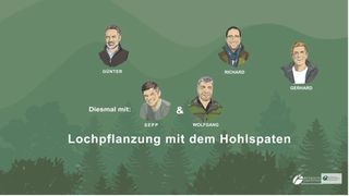Lochpflanzung mit dem Hohlspaten