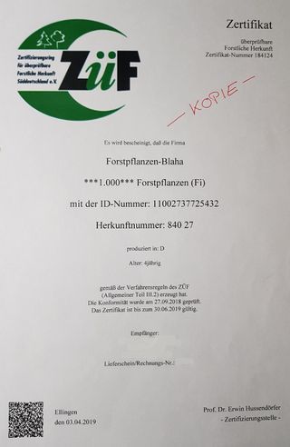 FfV Zertifikat